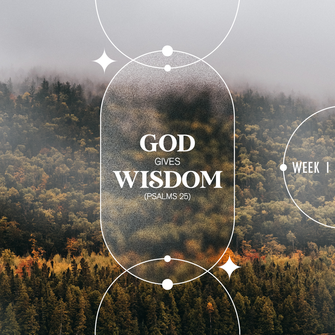 God Give Wisdom episode artwork